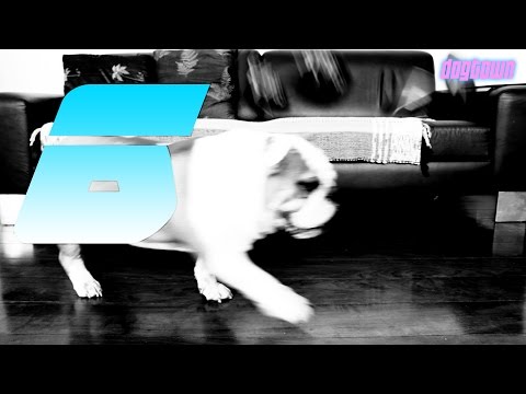 Dogtown Rap - Dasfô (Skit)