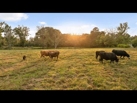 North Georgia Farm Land For Sale