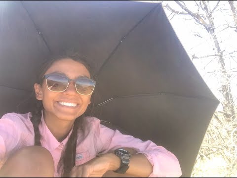 Stella Hikes Episode 2 - Miles 101-200 of the Pacific Crest Trail