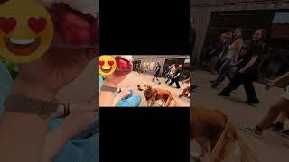 【ドイツVlog】愛犬ハルと行く！春限定の白アスパラ農場が最高すぎた 🇩🇪 #shorts