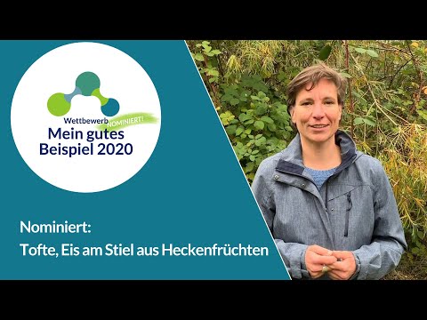 Mein gutes Beispiel 2020 – Nominierter Ideen müssen wachsen, Tofte Eis schlecken, Hecken retten