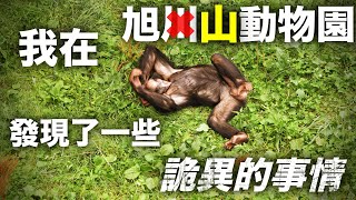 Re: [問題] 日本有豐富化做得比較好的動物園嗎？