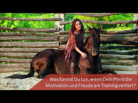Was kannst Du tun, wenn Dein Pferd die Motivation und Freude am Training verliert?