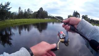 Hearty rise area master 702l