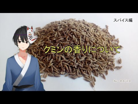 クミンについて詳しく解説