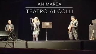 Smooth Operator (live cover) - ANIMAREA Trio