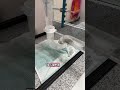 Sink hair clogs can be avoided with this new invention