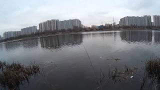 Рыбалка в марьино московская область поселок