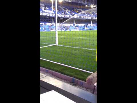 dog scores 3 goals against everton fc