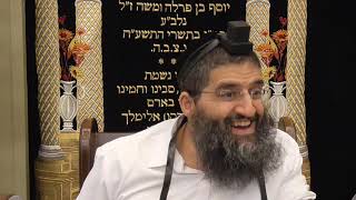 הרב אופיר טנג'י - פרפראות בפרשה - פרשת וירא - לא לפספס שיעור מיוחד!