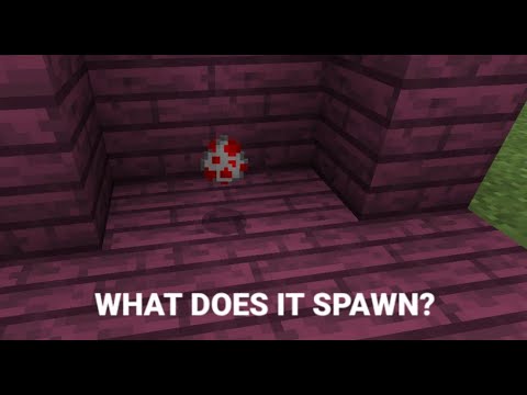How to get the hidden spawn egg in minecraft pe 2022