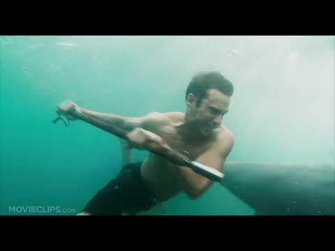 Montage in the trailer: dock at dusk, underwater glide shot, and a screaming swim to shore