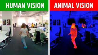 How Famous Characters and People See the World | 360 VR