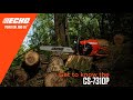 Echo® CS-7310P Chainsaw