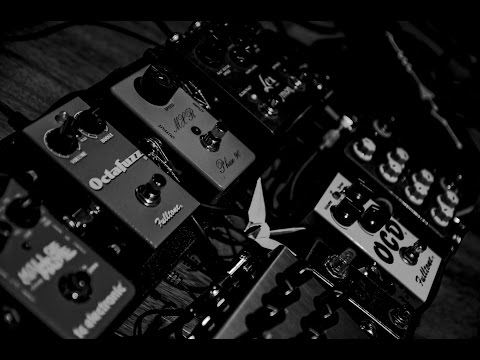 YAéYA - 1000 GRULLAS "Despertar" Live Sessions