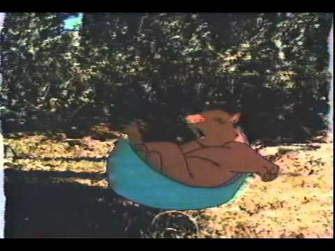 Weary Will The Wombat (From Dot and the Bunny)