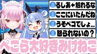大好きな兎田ぺこらの声真似をするみけねこ【 みけねこ | 切り抜き | Twitch 】【2026/05/18】