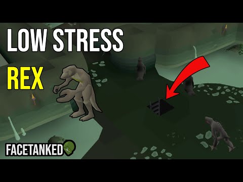 Low Stress Rex - Low Requirement Dagannoth Rex Safespot Guide