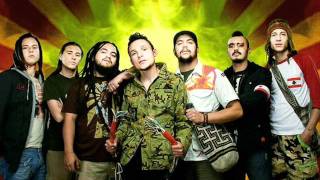 tauricida doctor krapula