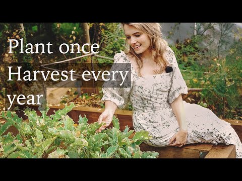 11 Easy Edible Perennials - Plant Once and Harvest Every Year