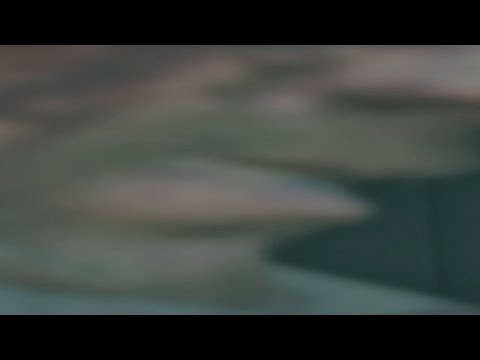 snake gets a almost perfect fob infiltration