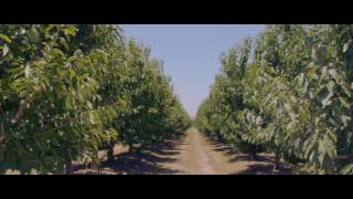 [Canon 7D Raw Video] Bakersfield Trip
