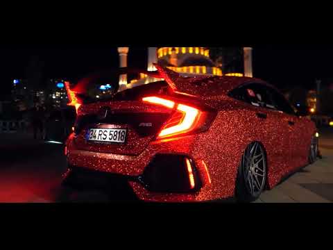 Kad1r x Hardpaw - Angara