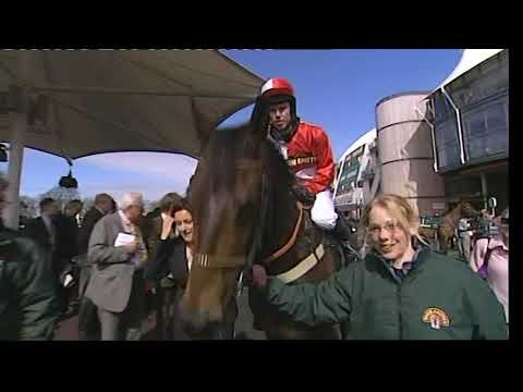 2009 Maghull Novice Chase - Aintree meeting