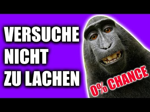 Versuche nicht zu lachen Challenge ➡️ 0% CHANCE 😵