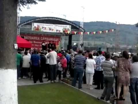 sarbatoarea capsunului 2015 Bunesti-Valcea(5)