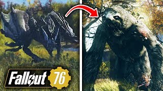 Fallout 76 ALL NEW CREATURES BREAKDOWN - ScorchBeast, Mega Sloths & More! (Fallout 76 Gameplay)