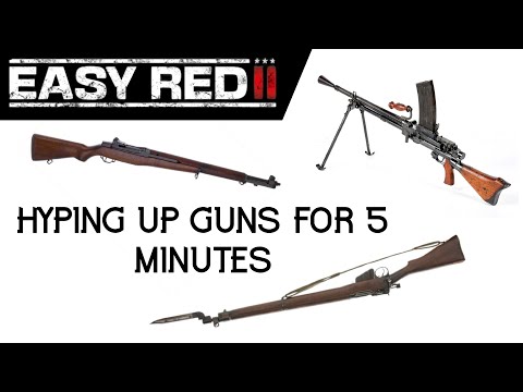 Easy Red 2 - 5 BEST Firearms