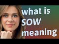 Sow Meaning Of Sow