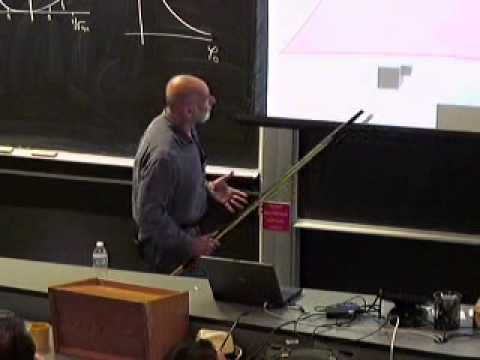 Leonard Susskind - Phases of eternal inflation