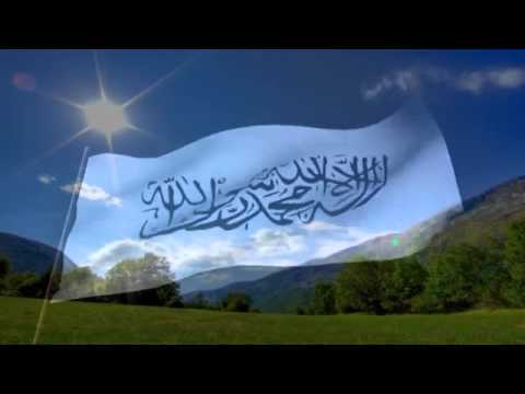 Jakup Asipi   Për Ahmed Deedat in dhe Priftin Jimy Swaggart