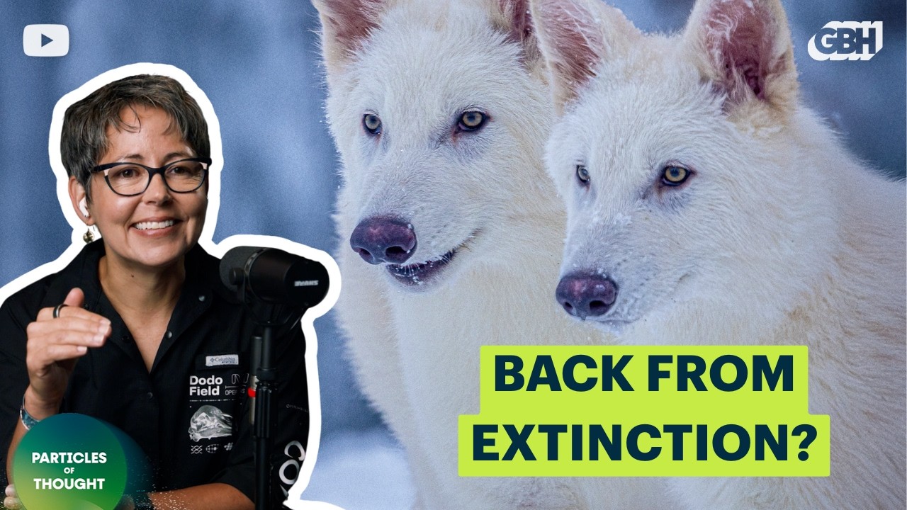 De-Extinction: A How-To Guide | Beth Shapiro