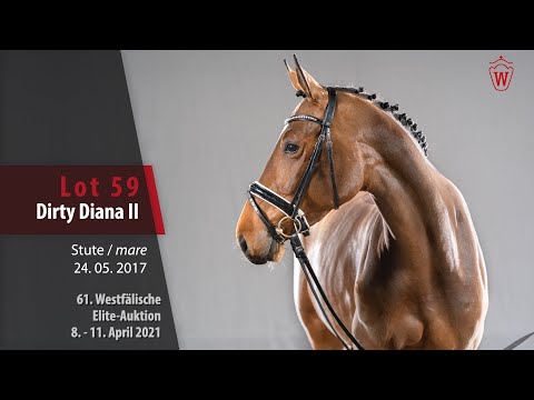 61. Westfälische Elite-Auktion Lot 59 Dirty Diana II Stute v. Diarado - Balou du Rouet
