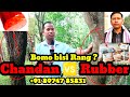 Chandan kwchak 🆚 Rubber, Bomo bisi Rang Rwkhuk.? Devid +91 89747 85831.
