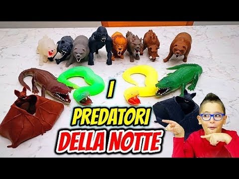 I PREDATORI DELLA NOTTE - Leo Toys