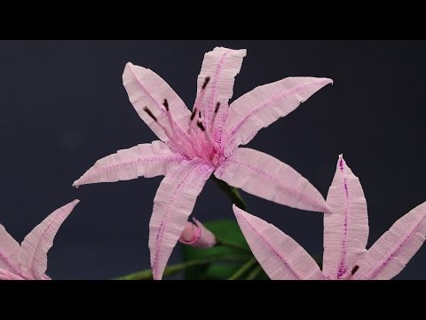 Paper Flower-  Nerine Lily Crepe Paper Flower Craft Tutorial