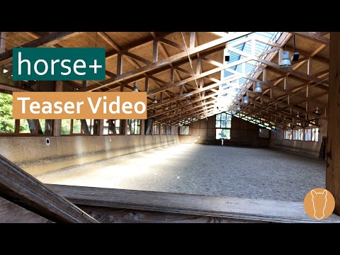 horse+