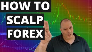 HOW TO SCALP 1 MINUTE CHART FOREX CHART to high profit