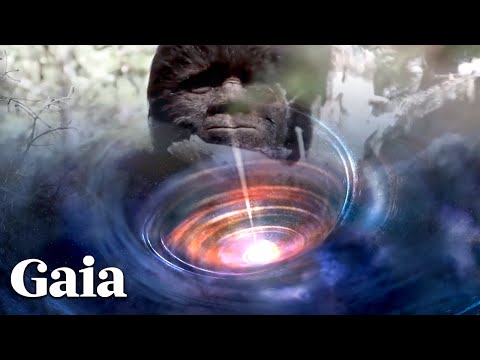 WHAT are the Portal, Orb & Vortex CONNECTIONS to BIGFOOT?