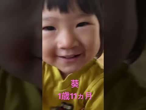 こども学科 大きなくりの木の下で 1歳11ヵ月