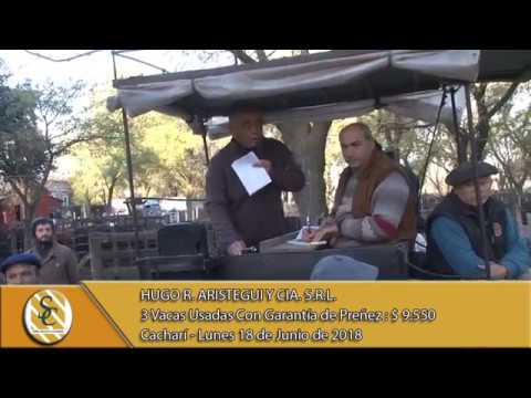 18-06-18 Venta de Vientres - Hugo R. Aristegui y Cia S.R.L. - Cacharí.