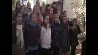 preview picture of video 'koncert kolęd - schola - Iwkowa 12.01.2014'