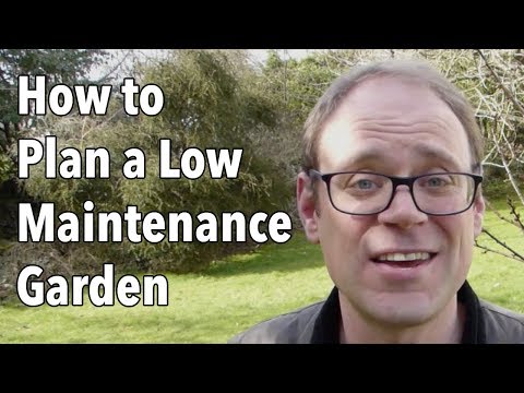 download lagu mp3 mp4 Low Maintenance Garden Borders, download lagu Low Maintenance Garden Borders gratis, unduh video klip Low Maintenance Garden Borders