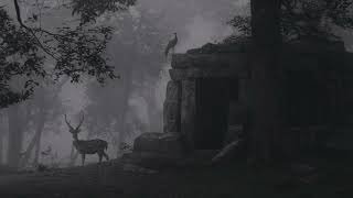 Download lagu TRYMOZA - Hidup Adalah Misteri ( Lyric Video) mp3