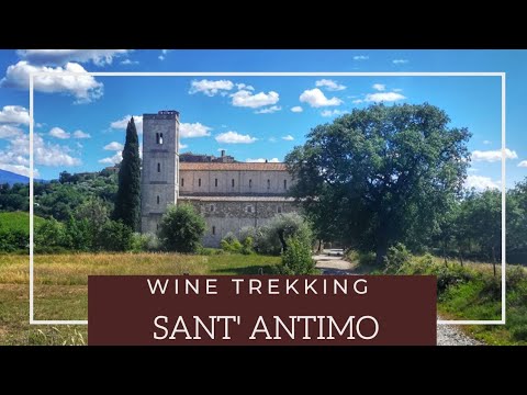 MONTALCINO - SANT'ANTIMO 👣🍷  wine trekking #3  #virtualwalk #countrywalk #tuscanwalks