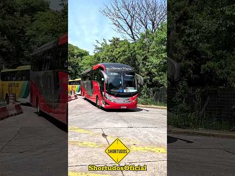 PÁSSARO MARROM • São Paulo para Jacareí #short #shortudosoficial #onibus #viagem #sp #tietê